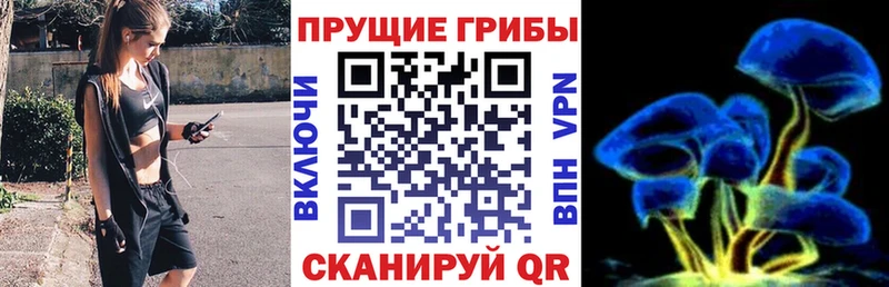 Псилоцибиновые грибы прущие грибы  Сафоново 