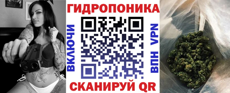Каннабис White Widow  где продают   Сафоново 